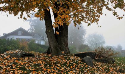 5 casas inspiradoras para disfrutar de este otoño