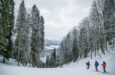 Por qué comprar una vivienda en las zonas de esquí es una buena opción ahora