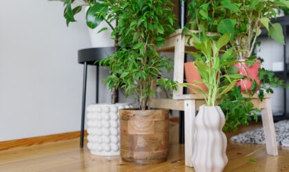 5 fórmulas que funcionan para regar las plantas si no estamos en casa