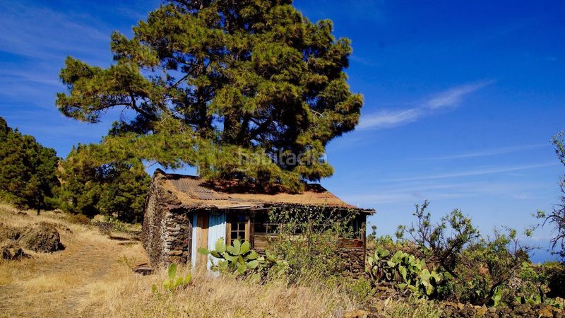 Una cabaña romántica en el bosque y con vistas al mar en El Hierro