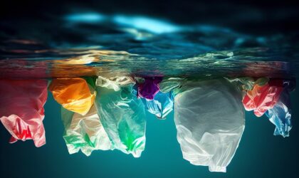 Cómo evitar el uso de bolsas de plástico en casa