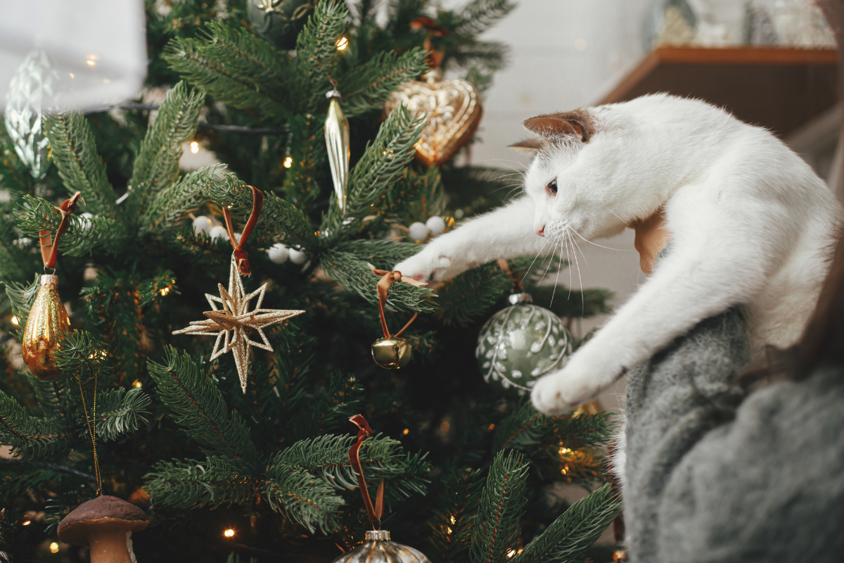 Mascotas y árbol de Navidad proteger