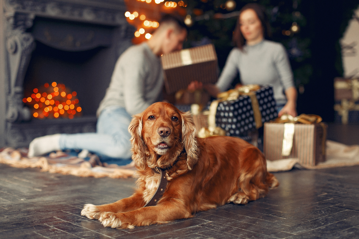 Proteger árbol Navidad de mascotas y niños